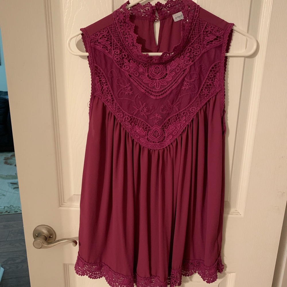 A Dip of Darling Fuschia Sleeveless Lace top